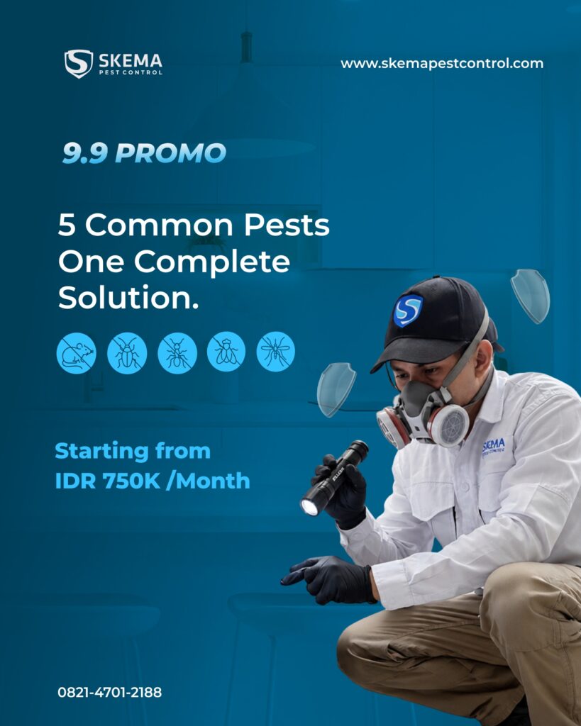 Jasa pembasmi hama bali, Pest Control Bali, Anti Rayap Bali