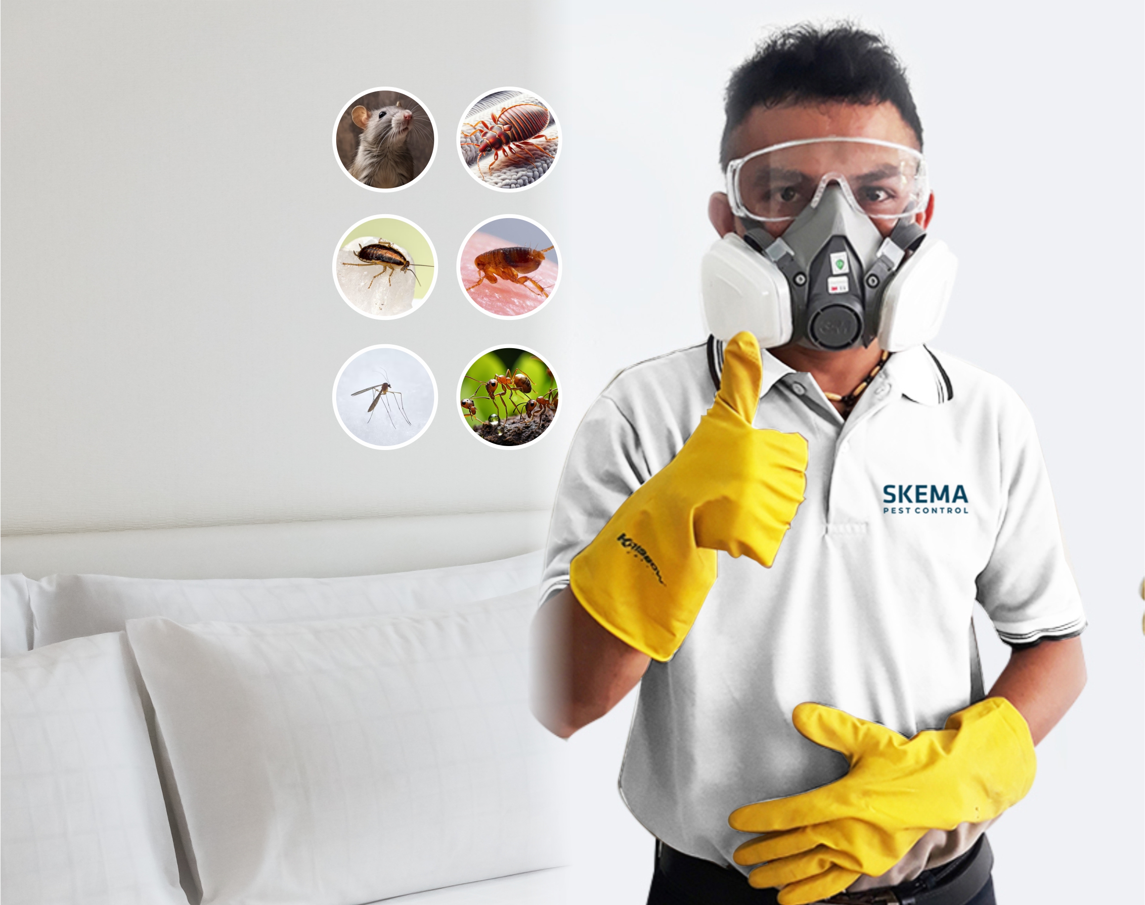 Jasa Pembasmi Hama dan Pest Control Bali