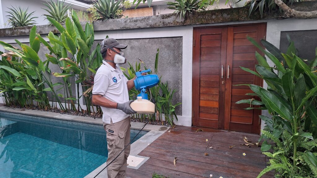 Jasa pembasmi hama canggu Bali