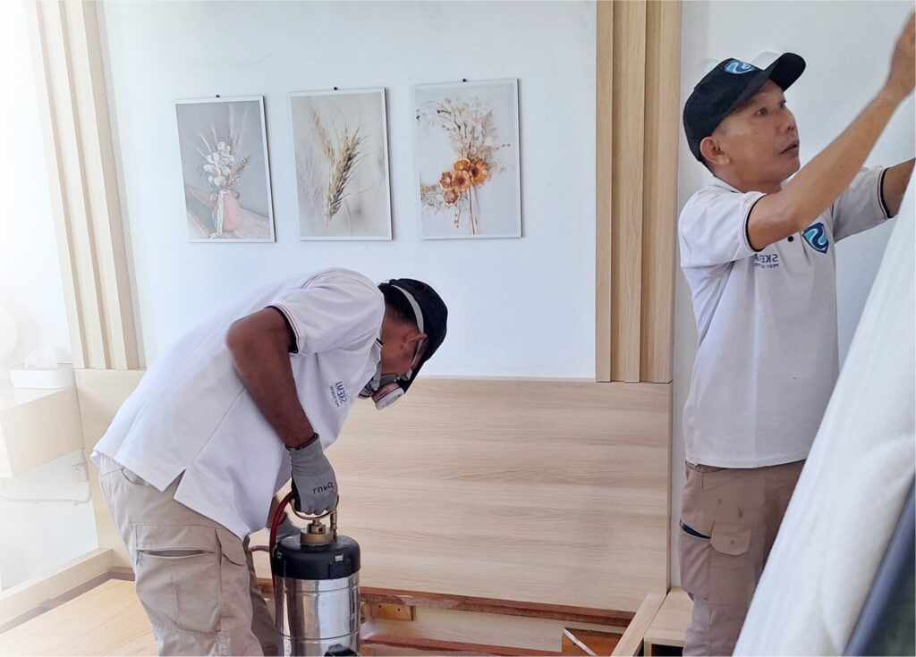 Skema Pest Control Bali sedang bekerja. Bed bug extermination bali, Pembasmi kutu busuk, pembasmi kutu kasur, tungau