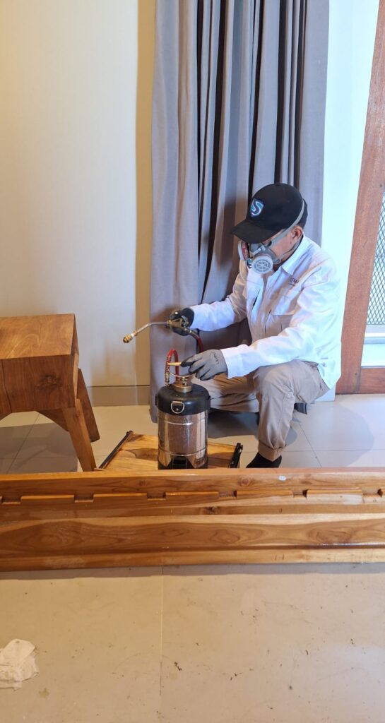 Skema Pest Control Bali sedang bekerja. Bed bug extermination bali, Pembasmi kutu busuk, pembasmi kutu kasur, tungau