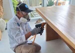 Pest Control Bali. jasa pembasmi hama di Bali