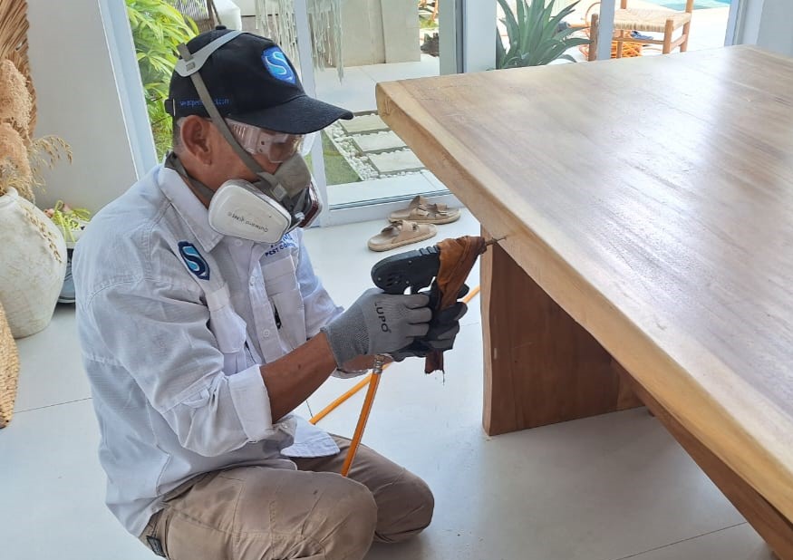 Pest Control Bali. jasa pembasmi hama di Bali