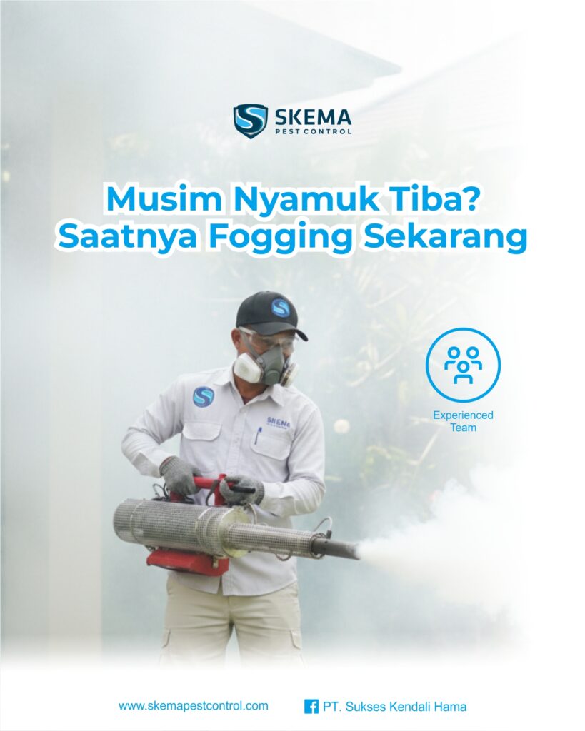 Jasa Fogging Nyamuk di Bali