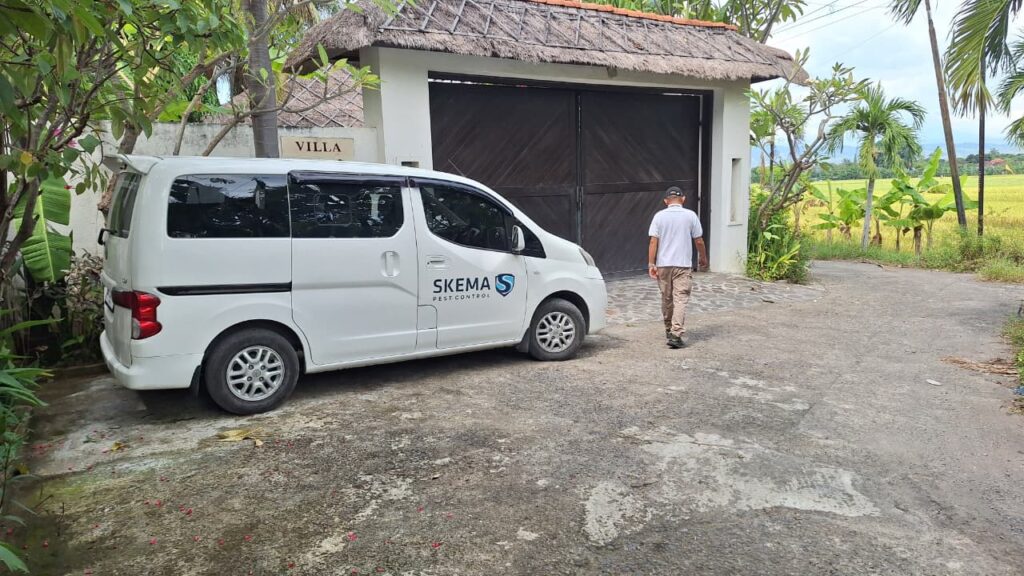 jasa pembasmi hama favorit di Bali