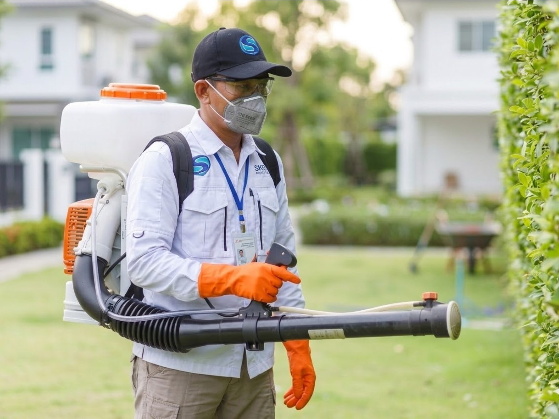 jasa pembasmi hama favorit di Bali