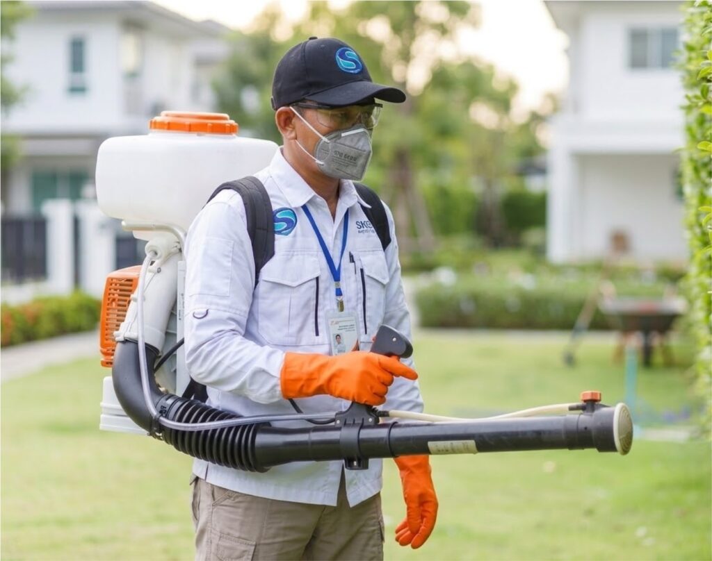 Pest Control Bali. Jasa pembasmi hama terbaik dan terpercaya di Bali