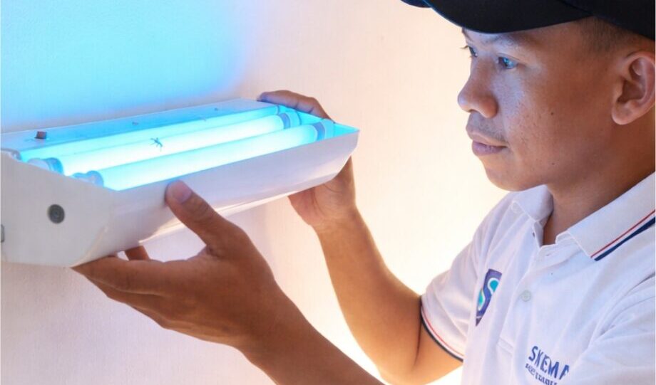 pest control terbaik terpercaya di bali, Pembasmi hama Bali