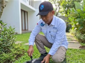 jasa pembasmi hama bali. jasa pembasmi tikus Bali