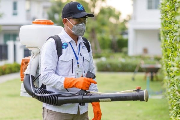 jasa pembasmi hama favorit di Bali